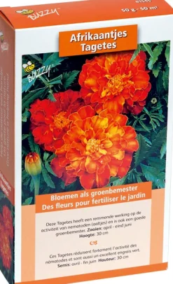 Buzzy groenbemester Afrikaantjes (Tagetes) 50gr
