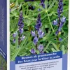 Buzzy groenbemester Lupine (Lupines) blauw 100gr