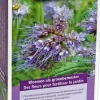 Buzzy groenbemester Phacelia Tanacetifolia 100gr