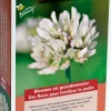 Buzzy groenbemester Witte Klaver 100gr