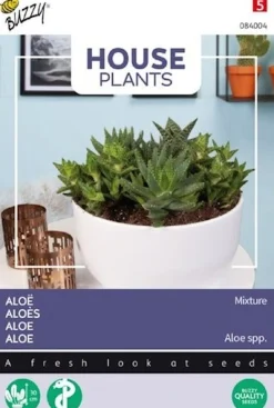 Buzzy House Plants kamerplantenzaad Sierasperge (Asparagus plumosus 'Nanus')