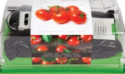 Buzzy® Kweekset Tomaat (Solanum lycopersicum)