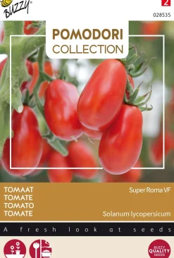 Buzzy® Pomodori groentezaad Tomaat (Lycopersicon esculentum 'Super Roma' VF)
