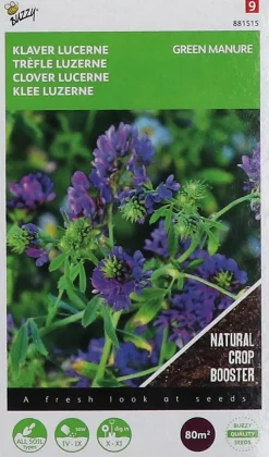 Buzzy seeds groenbemester klaver lucerne (Medicago sativa) 200 g