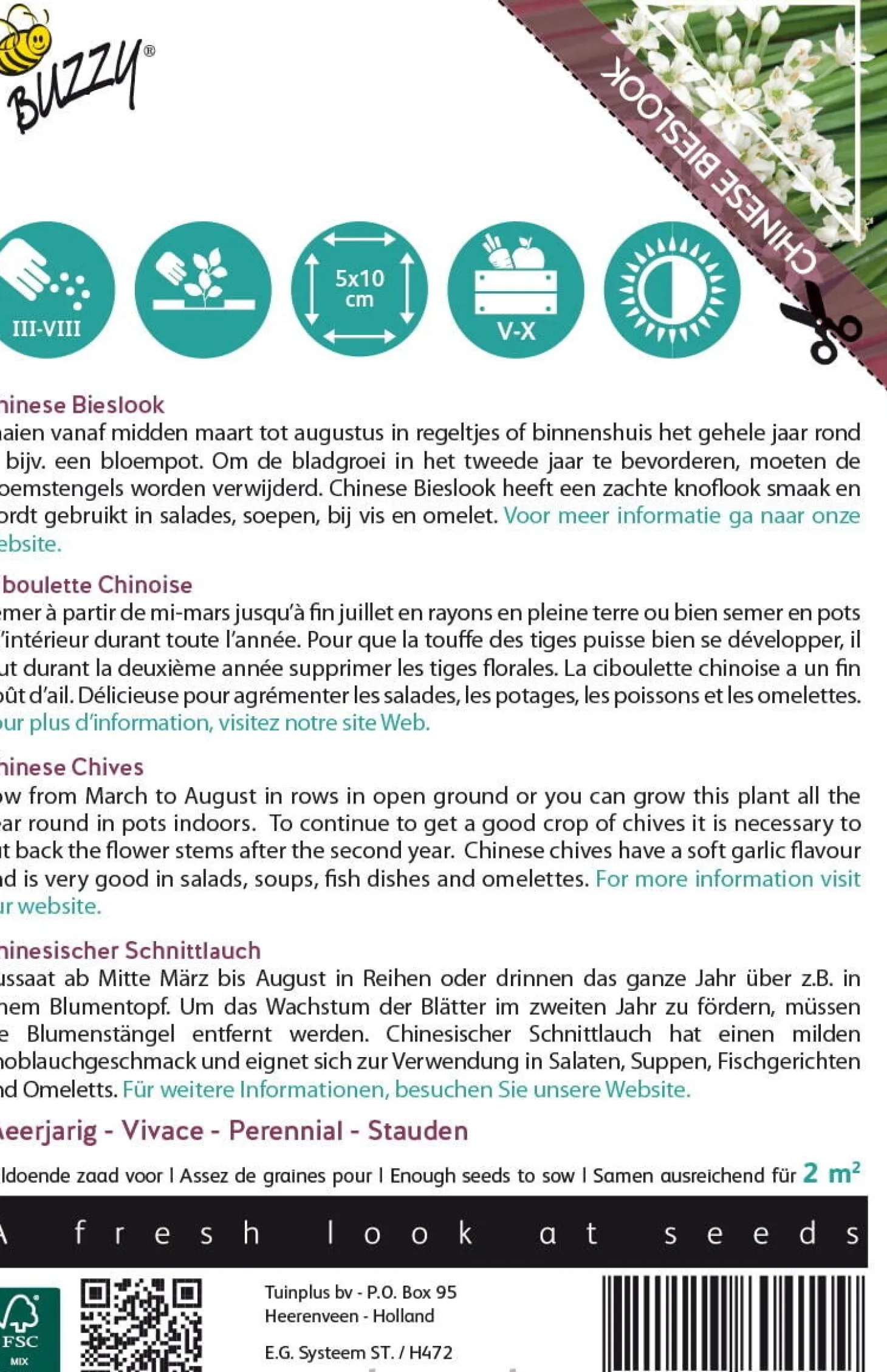 Buzzy® Thema SeriesXotica Chinese Bieslook