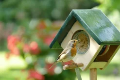 CJ Wildlife pindakaaspothouder met wip Cork naturel/groen 20 x 19 x 136 cm