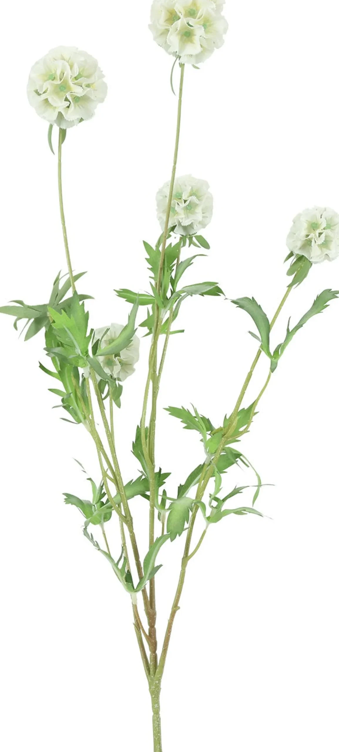 Countryfield kunstbloem Combretocarpus wit 97 cm