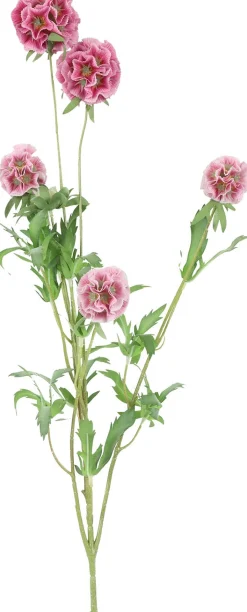 Countryfield kunstbloem Combretocarpus roze 97 cm