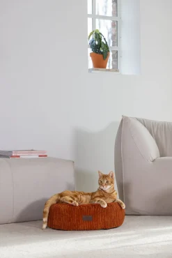 Designed by Lotte kattenmand terracotta D 50 H 17 cm