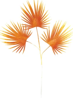 Dijk Natural Collections kunsttak Waaierpalm oranje 70 cm