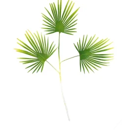 Dijk Natural Collections kunsttak Waaierpalm groen 70 cm