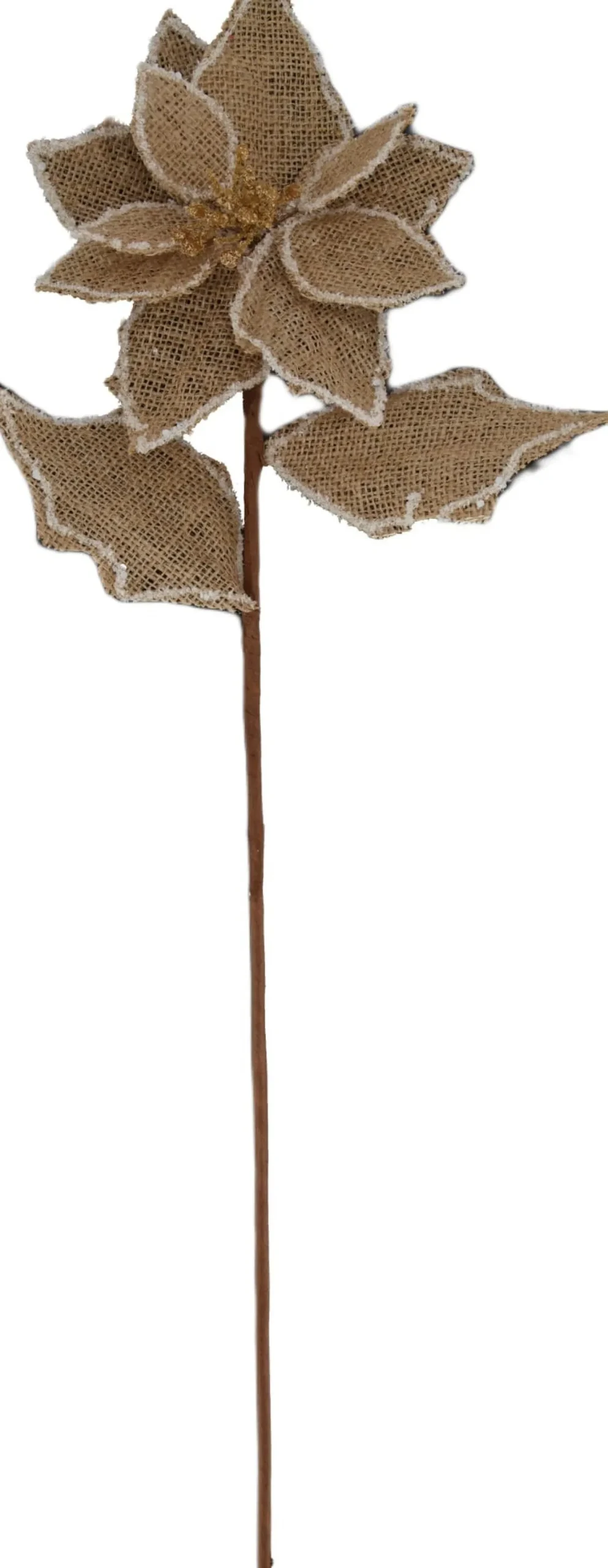 Dijk Natural Collections kunsttak bruin 71 cm