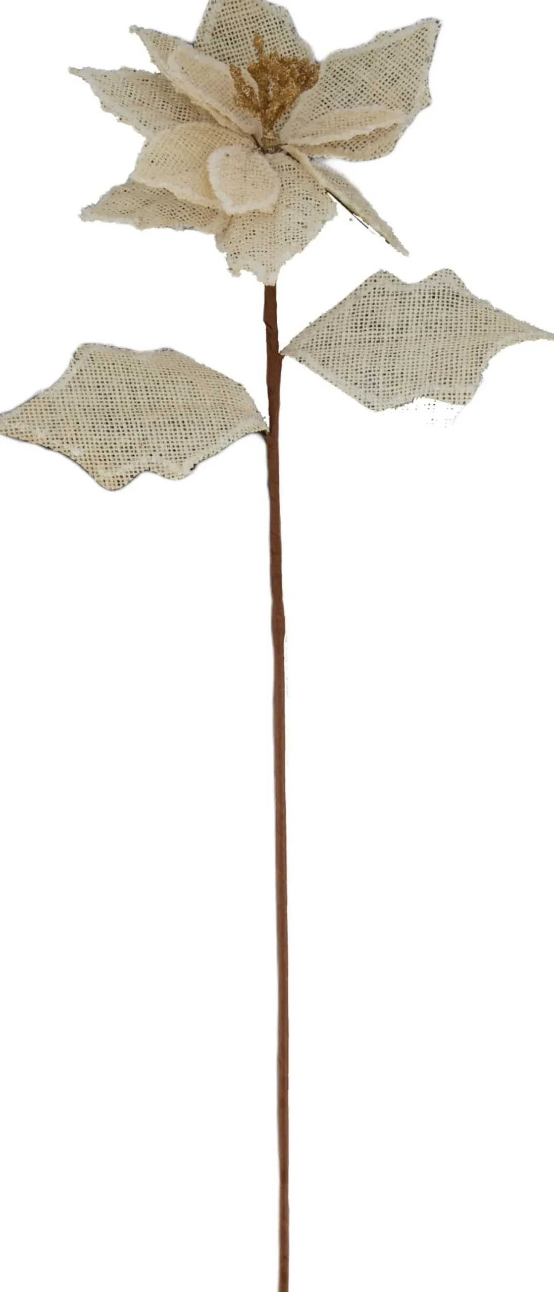 Dijk Natural Collections kunsttak crème 71 cm