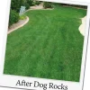 Dog Rocks natuurstenen 200 g