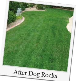 Dog Rocks natuurstenen 200 g