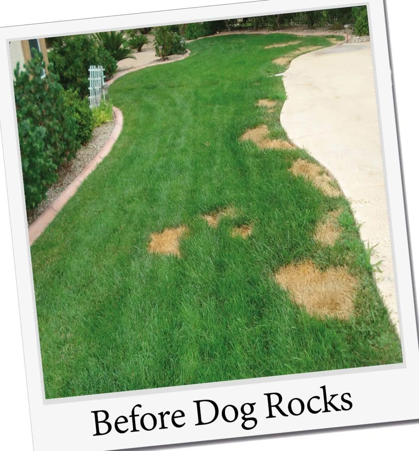 Dog Rocks natuurstenen 200 g