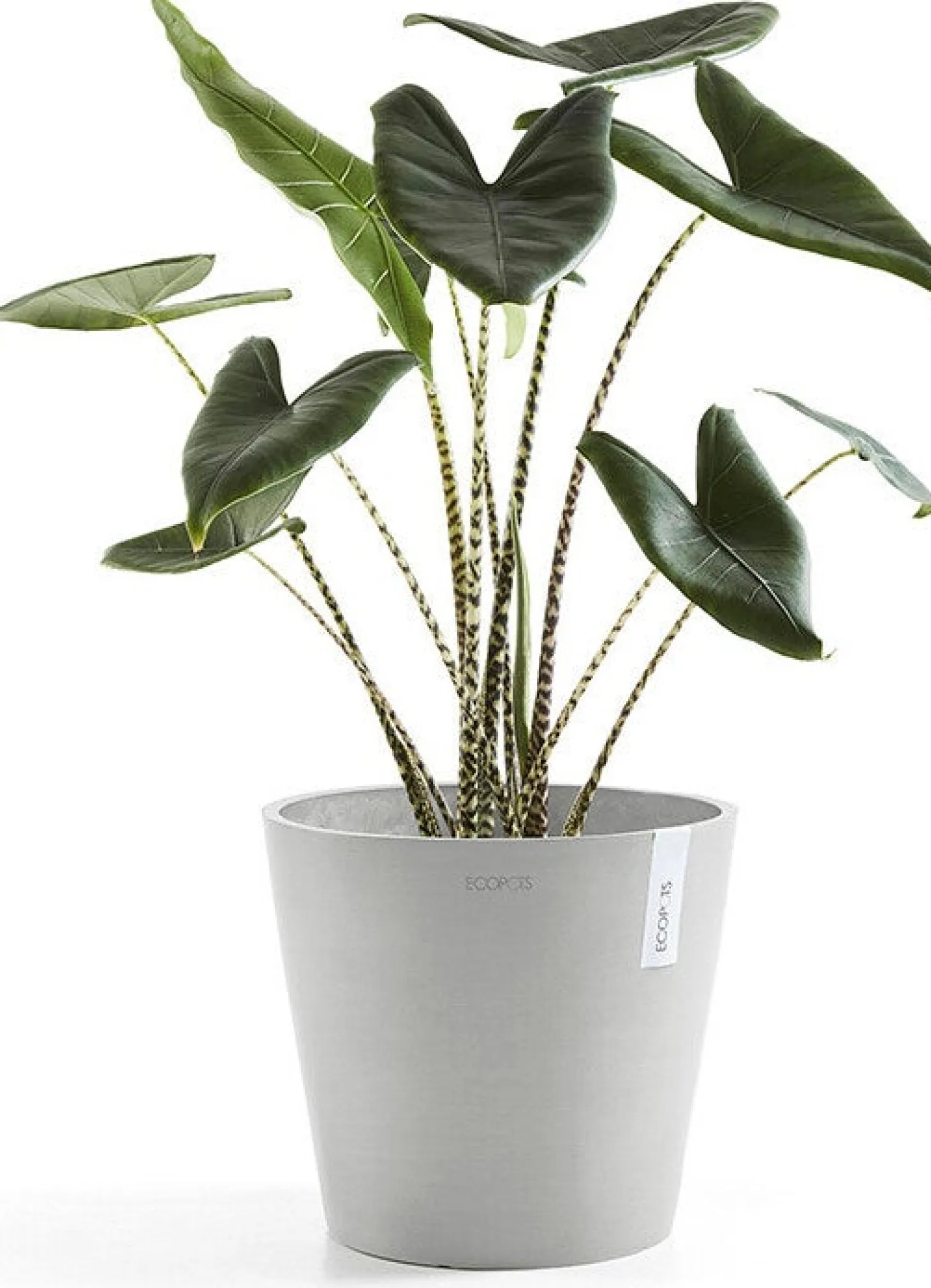 Ecopots bloempot Amsterdam wit grijs D 30 H 26,3 cm