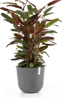 Ecopots bloempot Oslo grijs D 35 H 30,5 cm