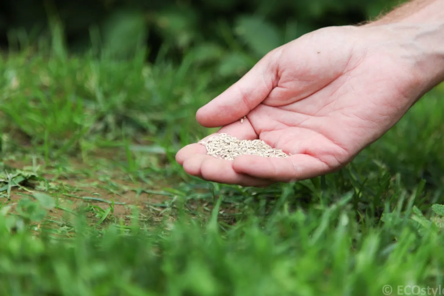 ECOstyle graszaad-herstel 500 g