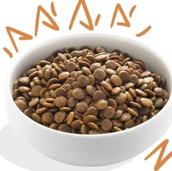Edgard & Cooper hondenbrokken verse scharrelkip adult 12 kg
