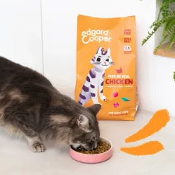 Edgard & Cooper kattenbrokken adult kip 2 kg