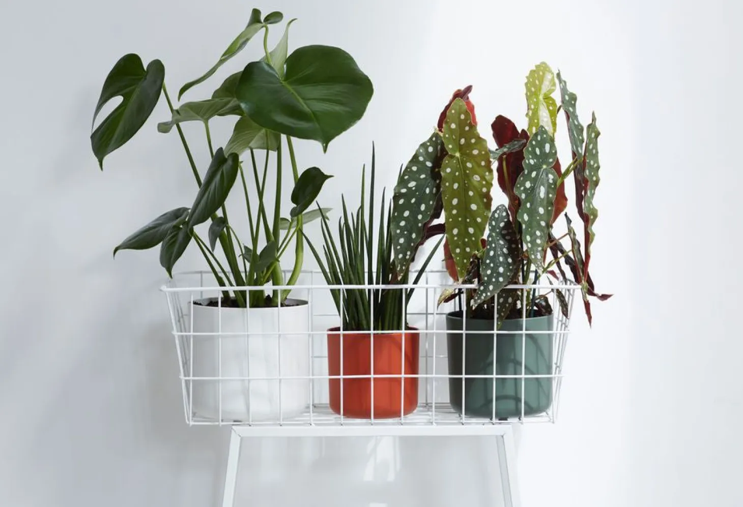 Elho bloempot B. for soft groen D 16 H 15 cm