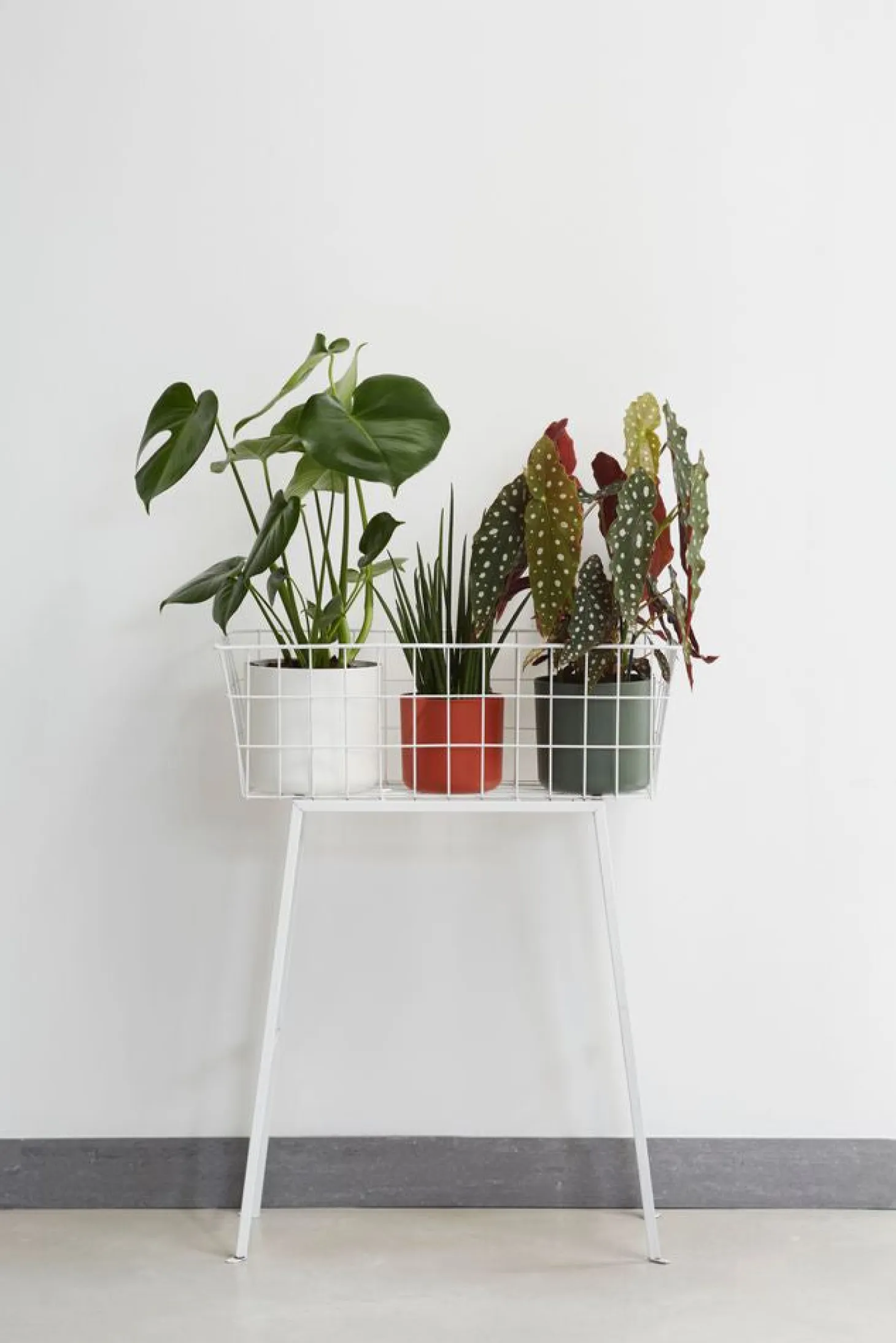 Elho bloempot B. for soft groen D 16 H 15 cm