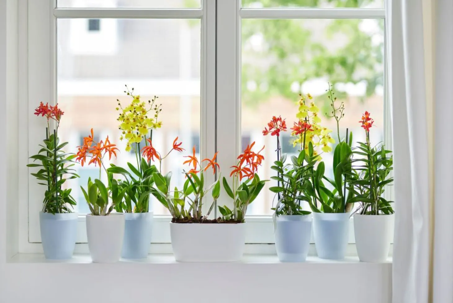 Elho bloempot Brussels orchidee wit D 12,5 H 15,5 cm