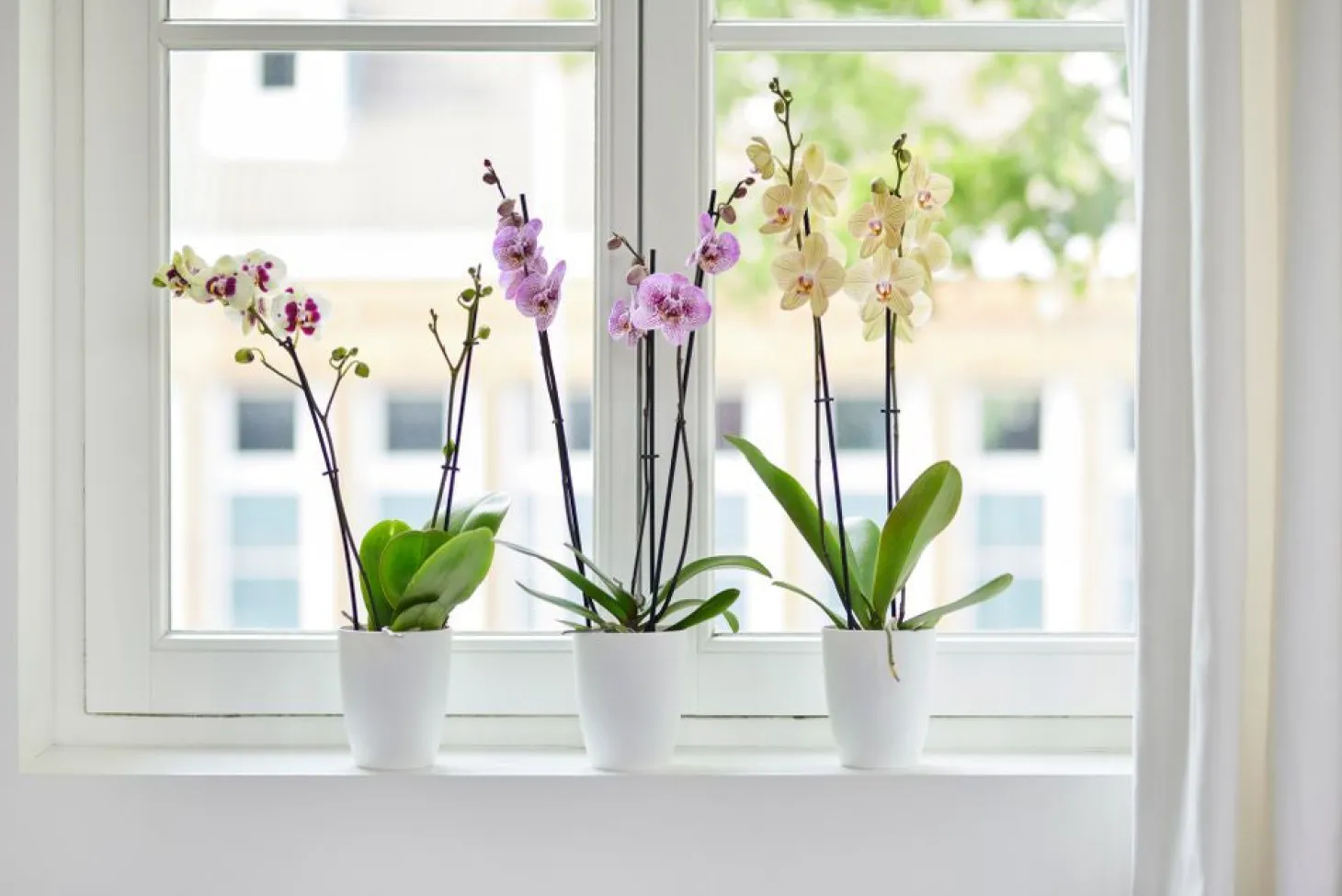 Elho bloempot Brussels orchidee wit D 12,5 H 15,5 cm