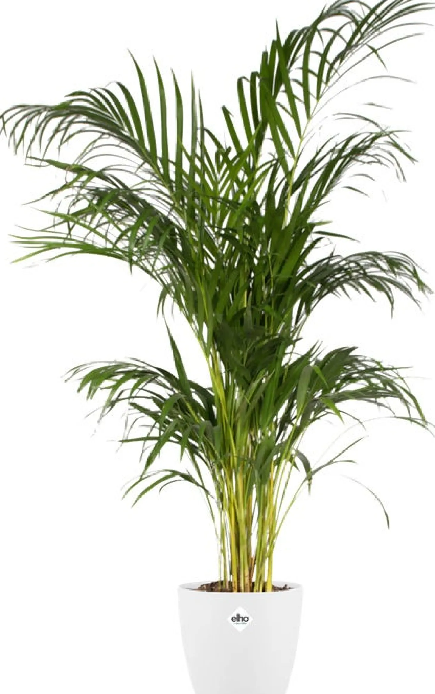 Elho bloempot Brussels wit D 16 H 14,7 cm