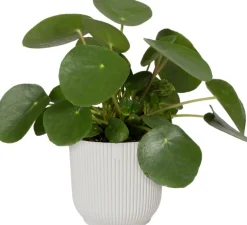 Elho bloempot Vibes wit D 18,3 H 16,8 cm