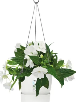 Elho hangpot Greenville wit D 23,5 H 20,5 cm