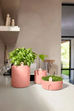 Elho kweekpot Amazing Avocado terracotta D 12 H 12,1 cm