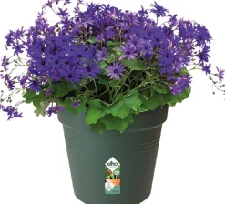 Elho kweekpot Green Basics groen D 13 H 12 cm