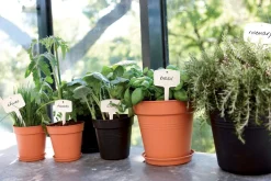 Elho kweekpot Green Basics zwart D 13 H 12 cm