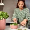 Elho kweekpot Magic Microgreens terracotta D 16,8 H 7,1