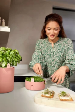 Elho kweekpot Magic Microgreens terracotta D 16,8 H 7,1