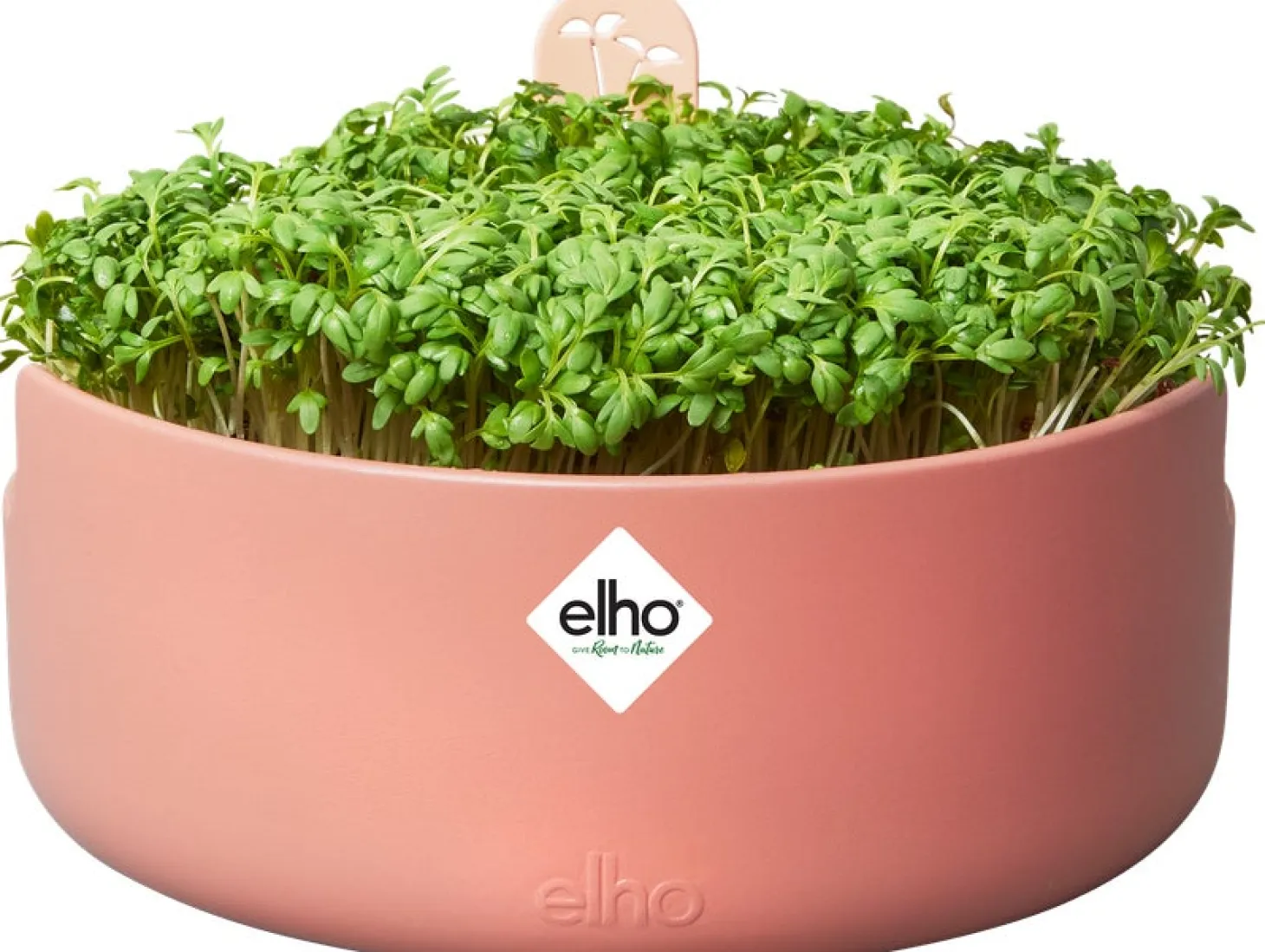 Elho kweekpot Magic Microgreens terracotta D 16,8 H 7,1