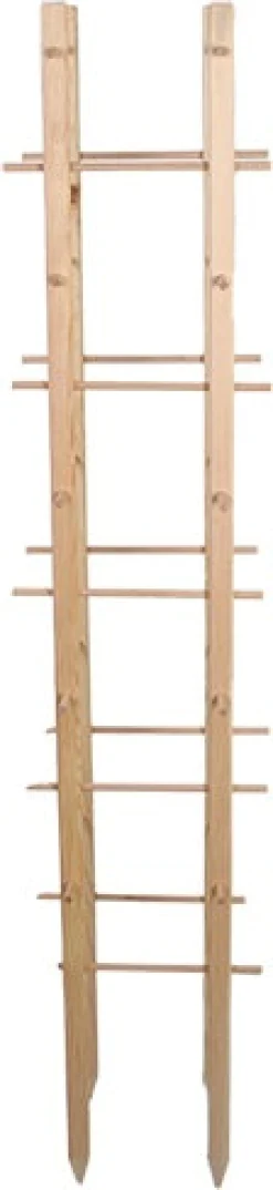 Esschert Design plantensteun 11 x 11 x 150 cm