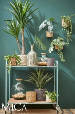 Everydays by Intratuin plantenmand Atlantic naturel D 20 H 20 cm