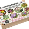 Florex Big Box Biodiversiteit 100 stuks