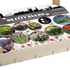 Florex Big Box bloembollen stads-bollen 88 stuks