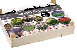 Florex Big Box bloembollen stads-bollen 88 stuks