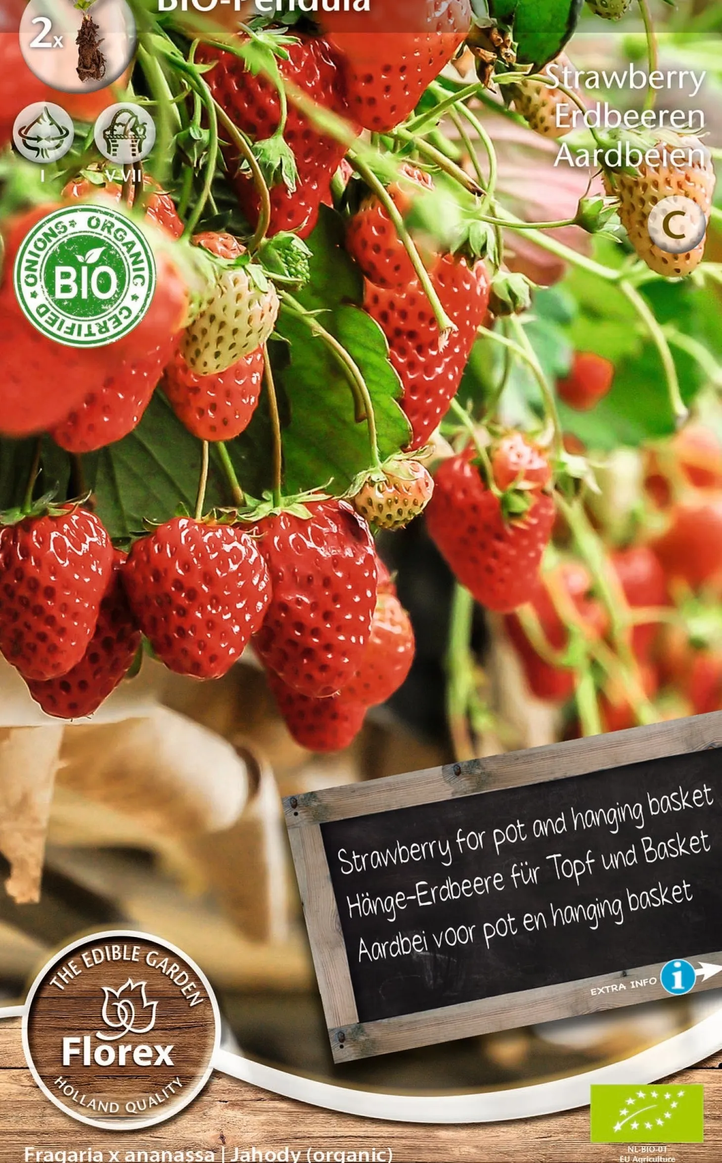 Florex bio aardbeien (Fragaria 'Pendula') 2 stuks