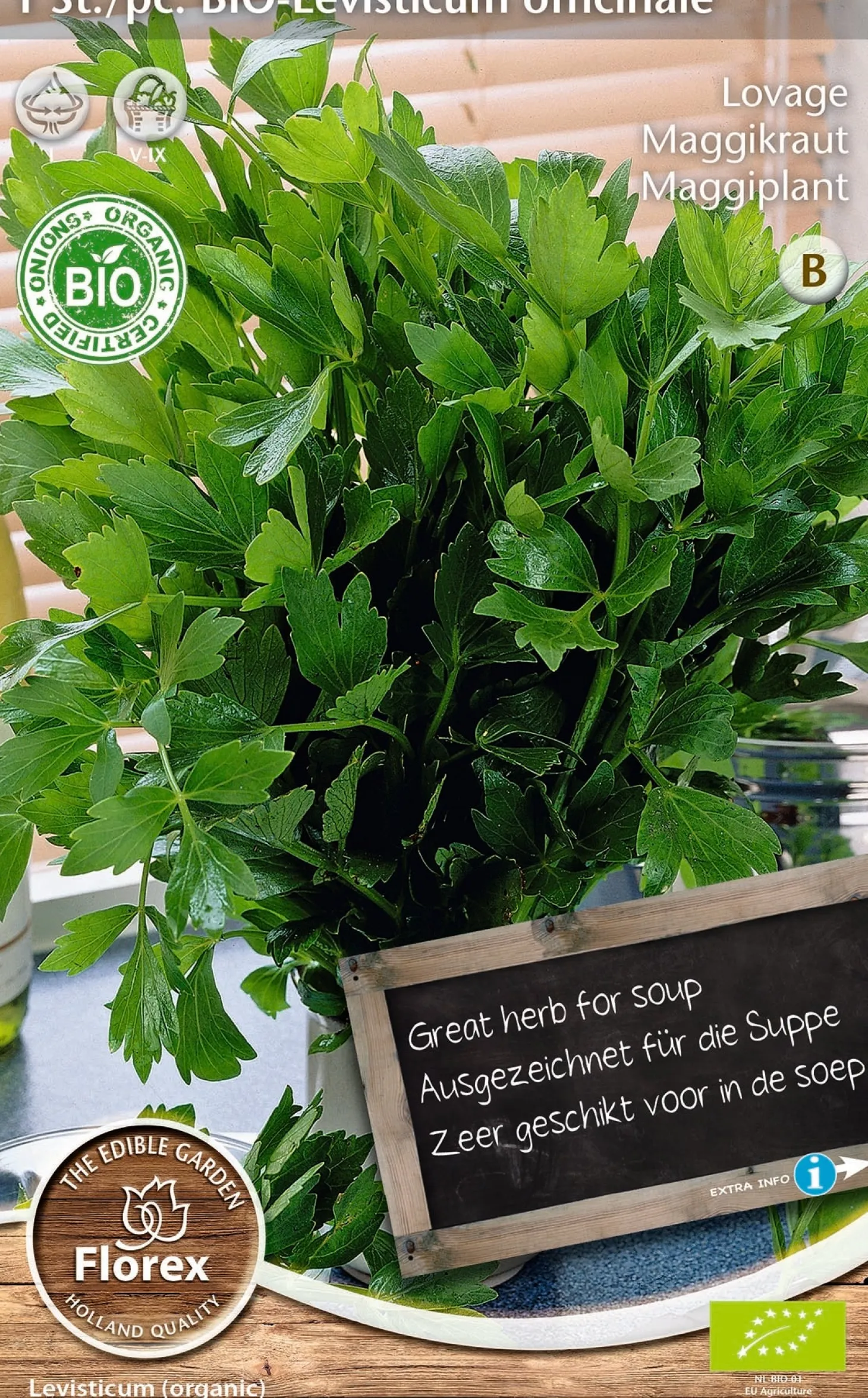 Florex bio maggiplant (Levisticum officinale)