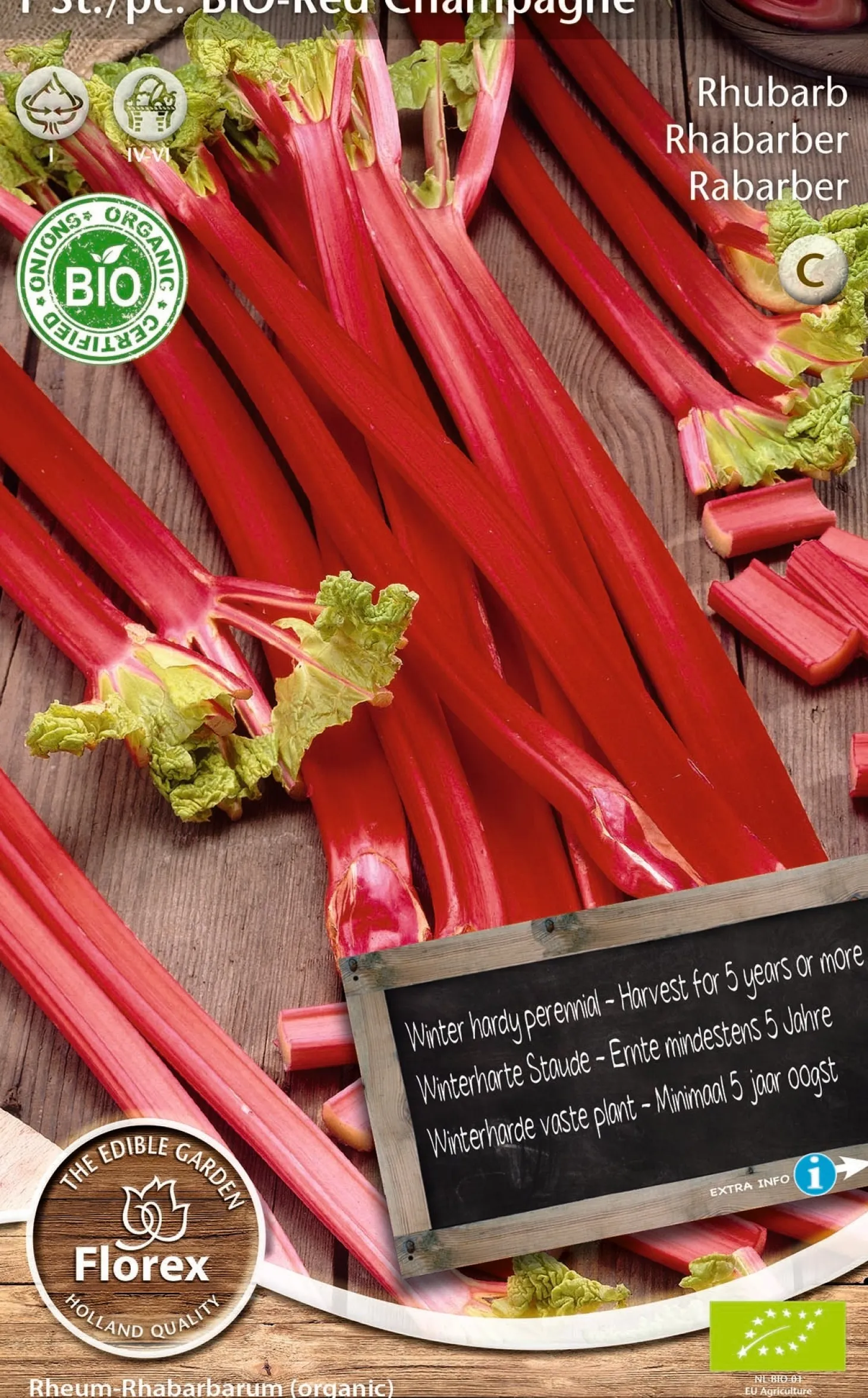 Florex bio rabarber (Rheum 'Champagne')