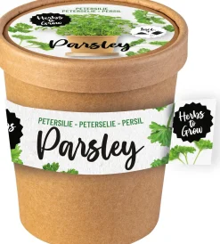 Florex Herbs To Grow Peterselie (Petroselinum) D 9,2 H 9,5 cm