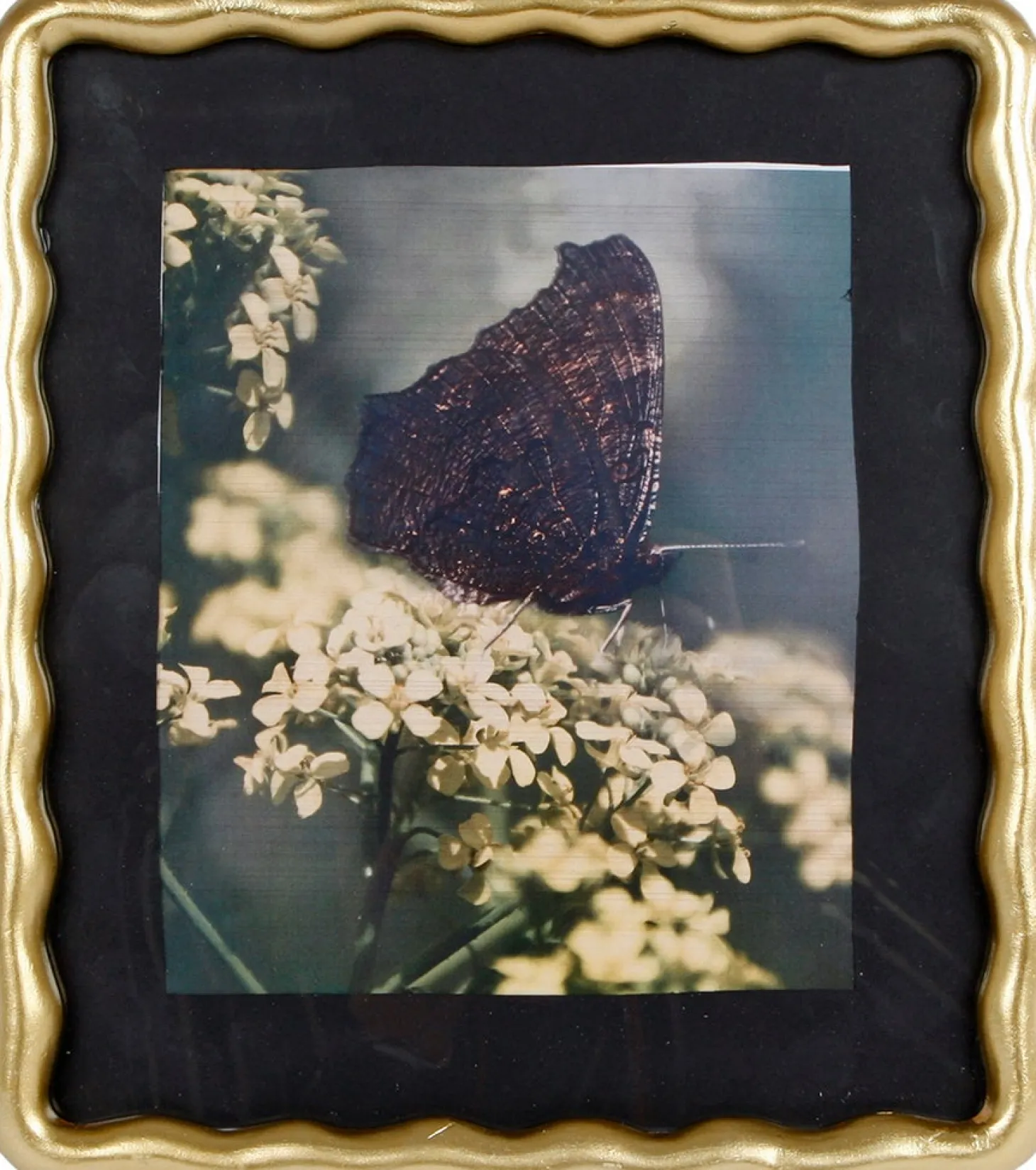 Fotolijst Basia goud 10 x 15 cm