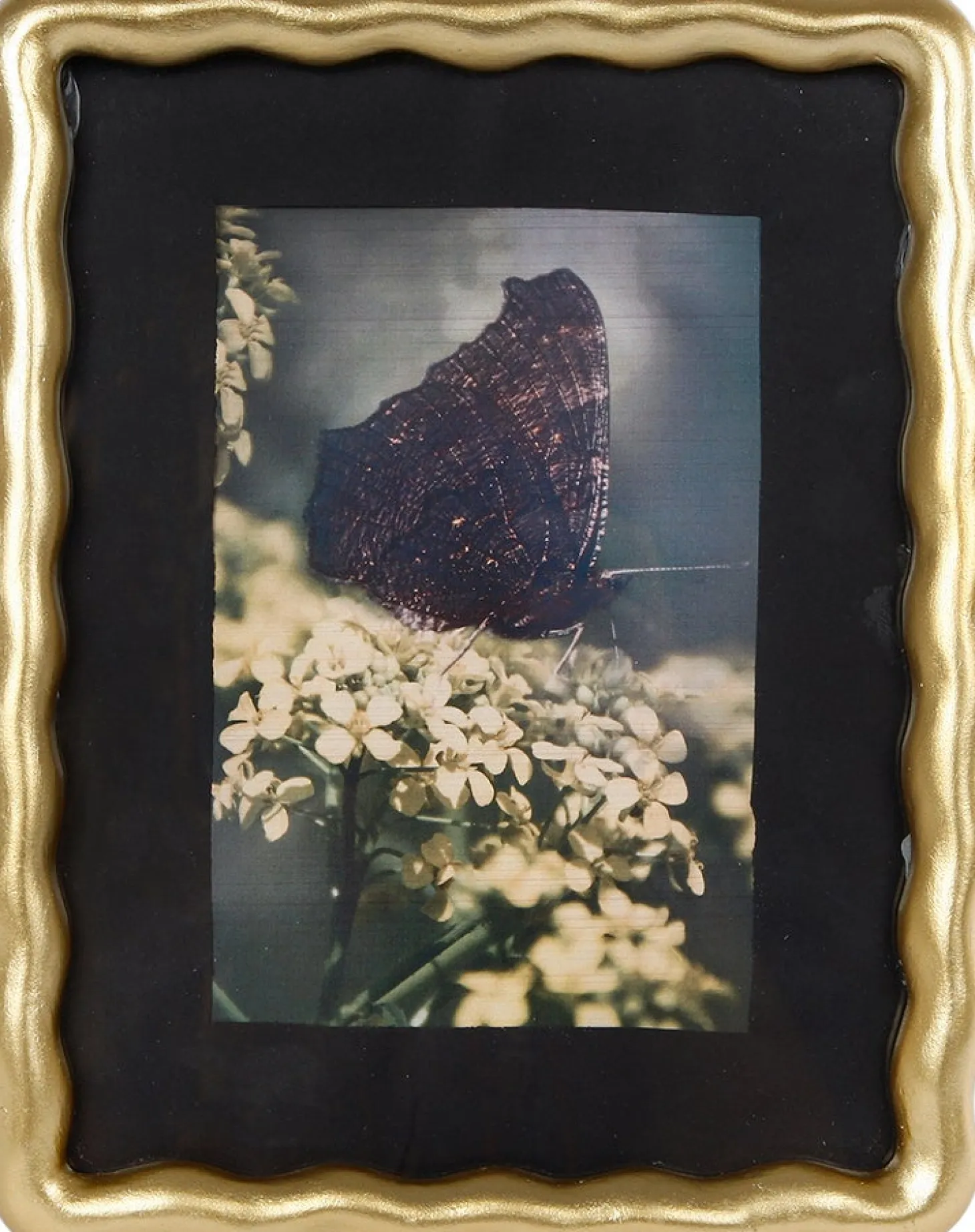 Fotolijst Basia goud 13 x 18 cm
