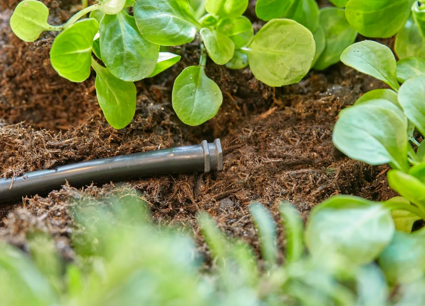 Gardena Micro Drip systeem afsluitdop